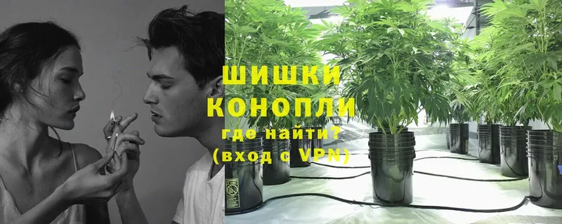 цена наркотик  Тимашёвск  Канабис Bruce Banner 